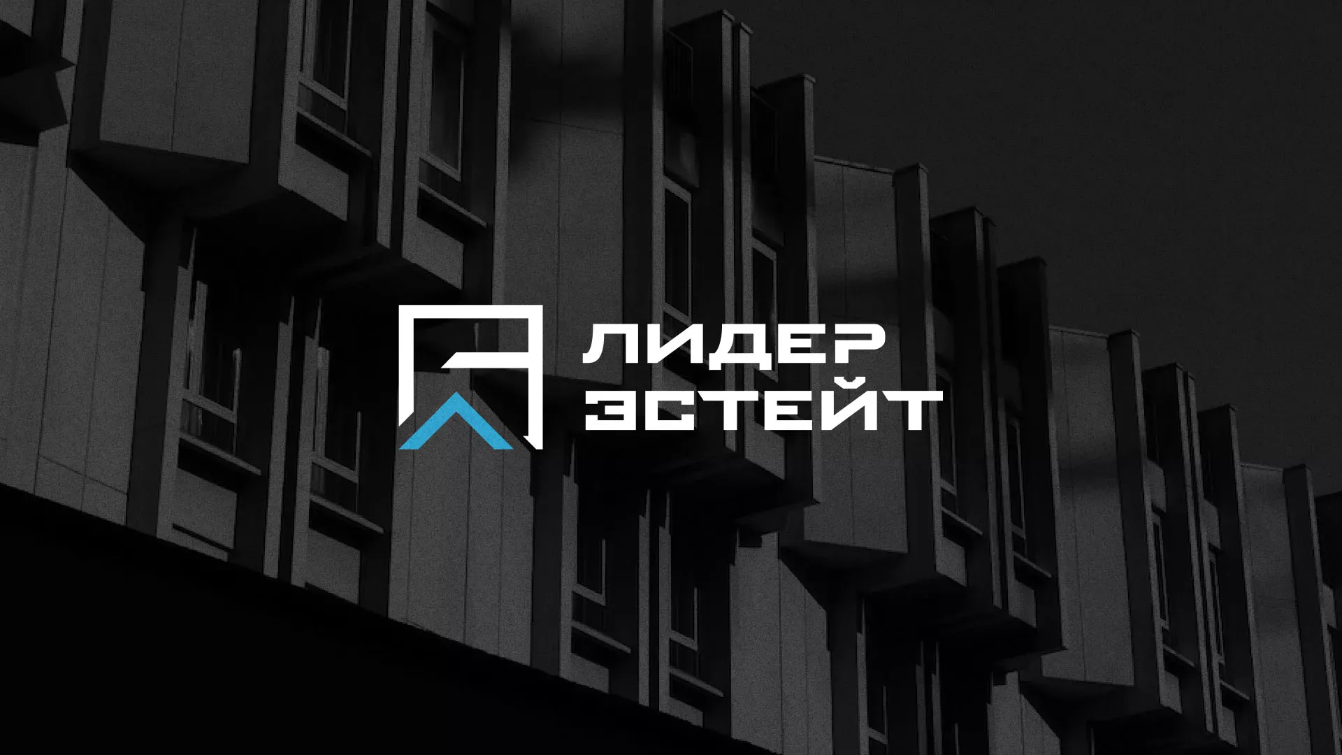 Разработка логотипа агентства недвижимости «Лидер Эстейт» в Суоярви